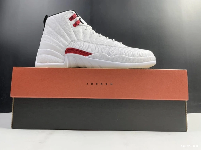 Twist Air Jordan 12 CT8013-106 0522